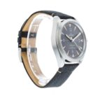 Omega Railmaster Black Replica