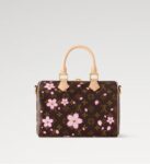 LV x TM SPEEDY BANDOULIÈRE 25