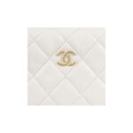 CHANEL 23C POUCH EVENING BAG WHITE