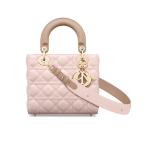 Small Lady Dior My ABCDior Bag